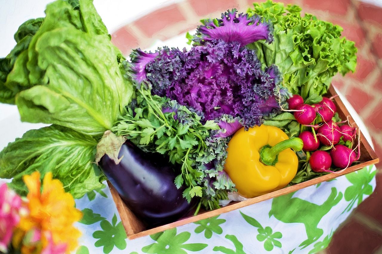 Jak zbudować zdrową dietę na bazie produktów roślinnych?
